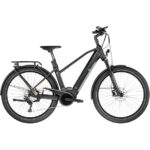 e-bike manufaktur 13ZEHN Trapez Disc Performance CX Gen4 625Wh schwarz