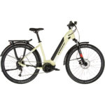 HAIBIKE Trekking 4 Low-Step beige/grau